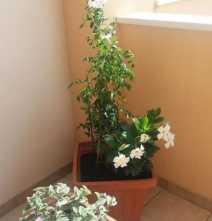 Zenzero E Cannella Сasa de vacaciones
